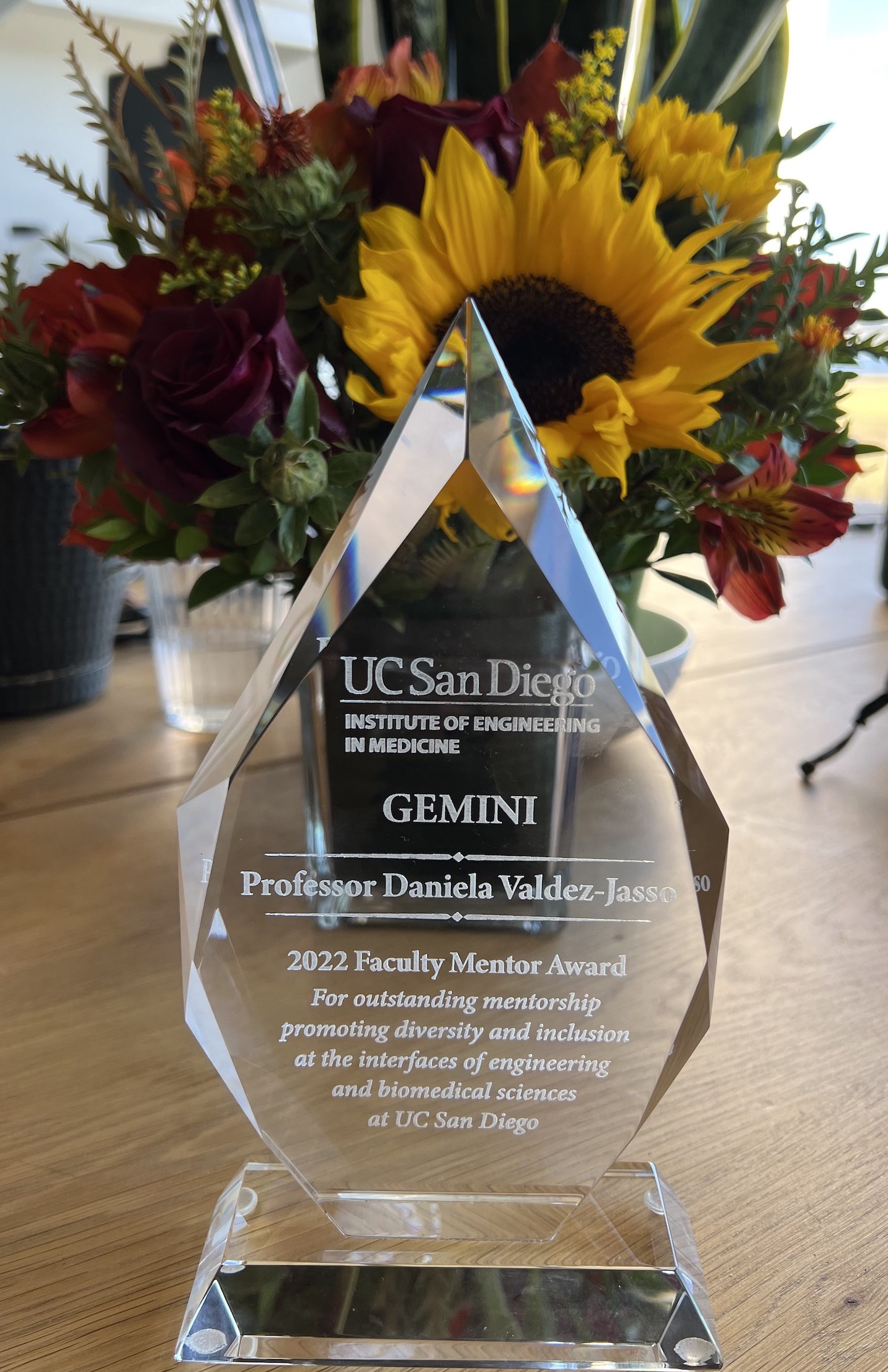 2022 GEMINI Faculty Mentor Award Trophy