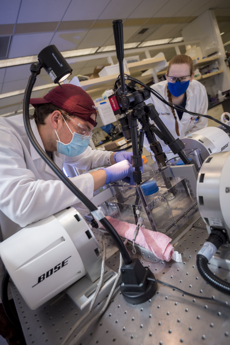 Bioengineering Lab